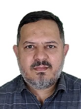 سید حسین عمادی سرخی